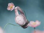 Bose QuietComfort Headphones - Image 3